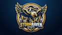 create unique aggressive eagle logo with modern style