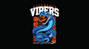 design high quality snake mascot logo with express delivery