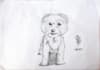 pencil draw your pet
