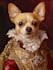 do a custom pet portrait, dog portrait, cat portrait