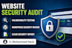 audit and secure your website