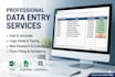 do professional data entry and copy paste tasks