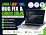 fix your java jsp sql bugs quickly