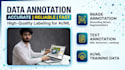 do professional image annotation and labeling