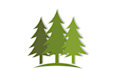 provide modern different tree logo design