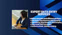 do accurate data entry web research PDF conversion