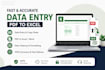 do fast data entry, copy paste, pdf to excel, data cleanup