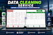 do professional data cleaning and excel data structuring