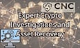 be cryptocurrency consultant, forensic investigator and blockchain
