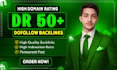 provide high da guest post backlinks for SEO ranking