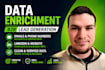 data enrichment, data cleaning and b2b lead generation