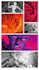 do comic book illustration comic artist graphic novel comic