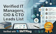 provide verified IT managers, cio, and cto leads list