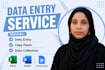 professional excel and pdf data services