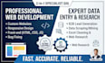 do web development proffesionally