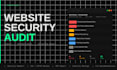 perform a website security audit and vulnerability report