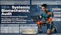 provide a professional systemic biomechanics audit sba