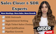 be your b2b high ticket sales closer sdr appointment setter sales representative