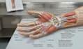 do 3d medical illustration