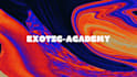 make expert graphic designs