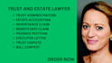 handle probate matters, trust disputes, executor issues, and inheritance claims