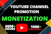 do fast organic youtube video promotion for channel growth