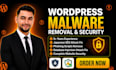 do wordpress malware removal, remove virus and improve wordpress security
