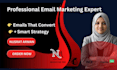craft email templates and campaign strategies