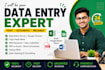 do data entry and create google sheets sales tracker