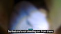create dynamic, readable subtitles designed to keep viewers watching