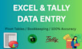 do accurate accounting data entry, in advanced excel and tally