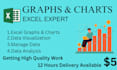 design advanced excel graphs, charts and data analysis reports
