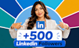 provide 500 professional linkedin followers