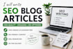 write SEO blog posts and articles