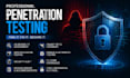 do professional penetration testing and vulnerability assessment for your websit