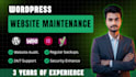 manage website, do wordpress website maintenance