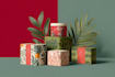 design professional food packaging design