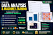 analyze your data and deliver insights using python