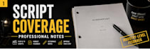 provide professional screenplay coverage and script analysis