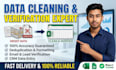 do professional data verification and excel data cleaning