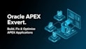 develop oracle apex application, fix apex bugs, plsql, sql, apex report