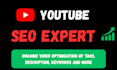 do the best youtube SEO and video optimization