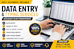 do accurate data entry and image to text typing
