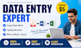 do data entry, copy paste work and typing tasks
