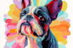 draw your pet into a very amazing vector pop art