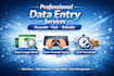 do professional data entry, excel, copy past and webresearch