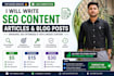 write affiliate blog posts and SEO articles for your website