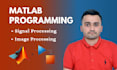 do matlab programming, simulink and electronics project and task