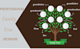 design a custom and professional family tree chart