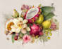 illustrate best botanical illustration